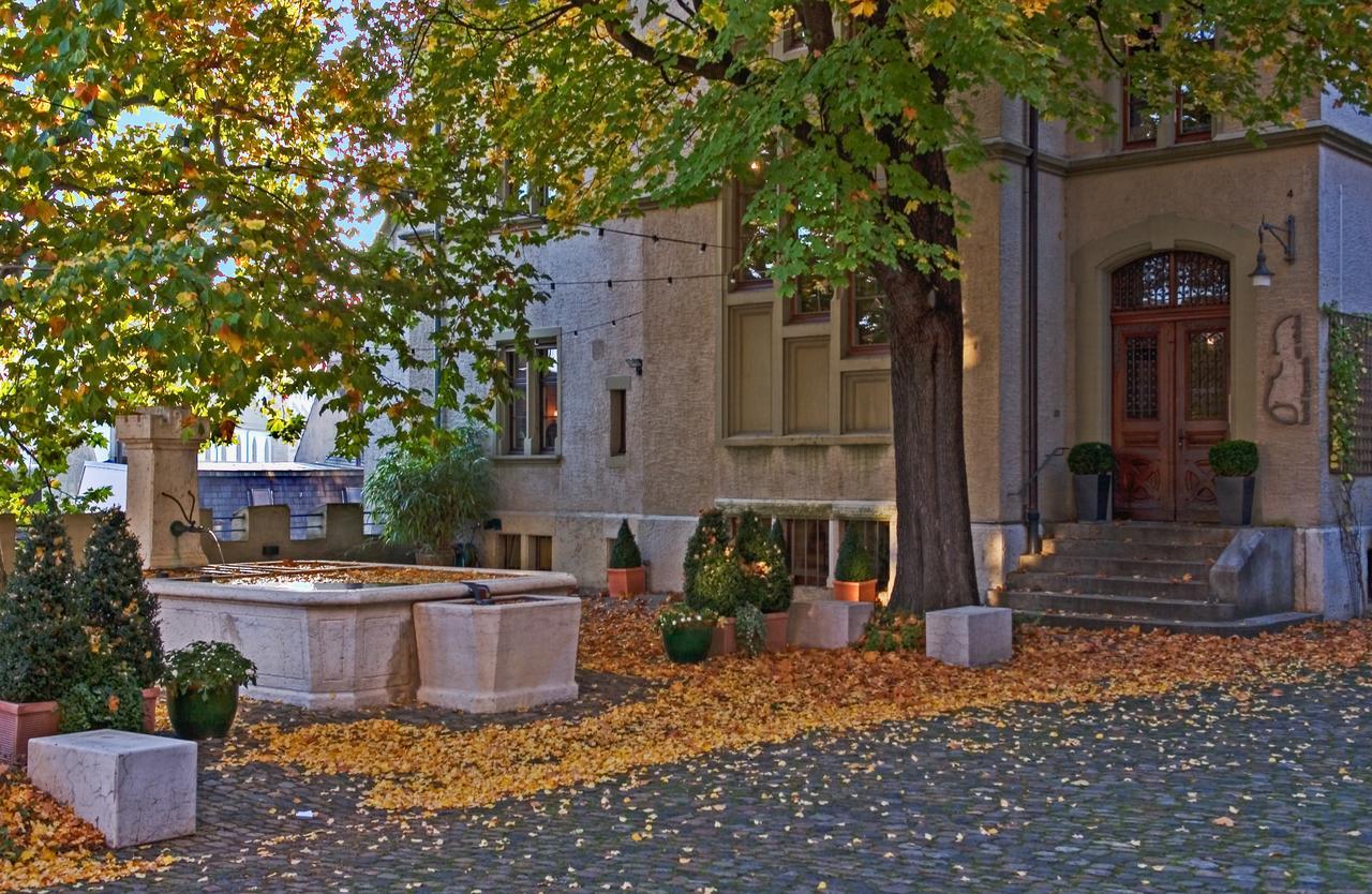 Hotel Brasserie Au Violon Basel Ngoại thất bức ảnh